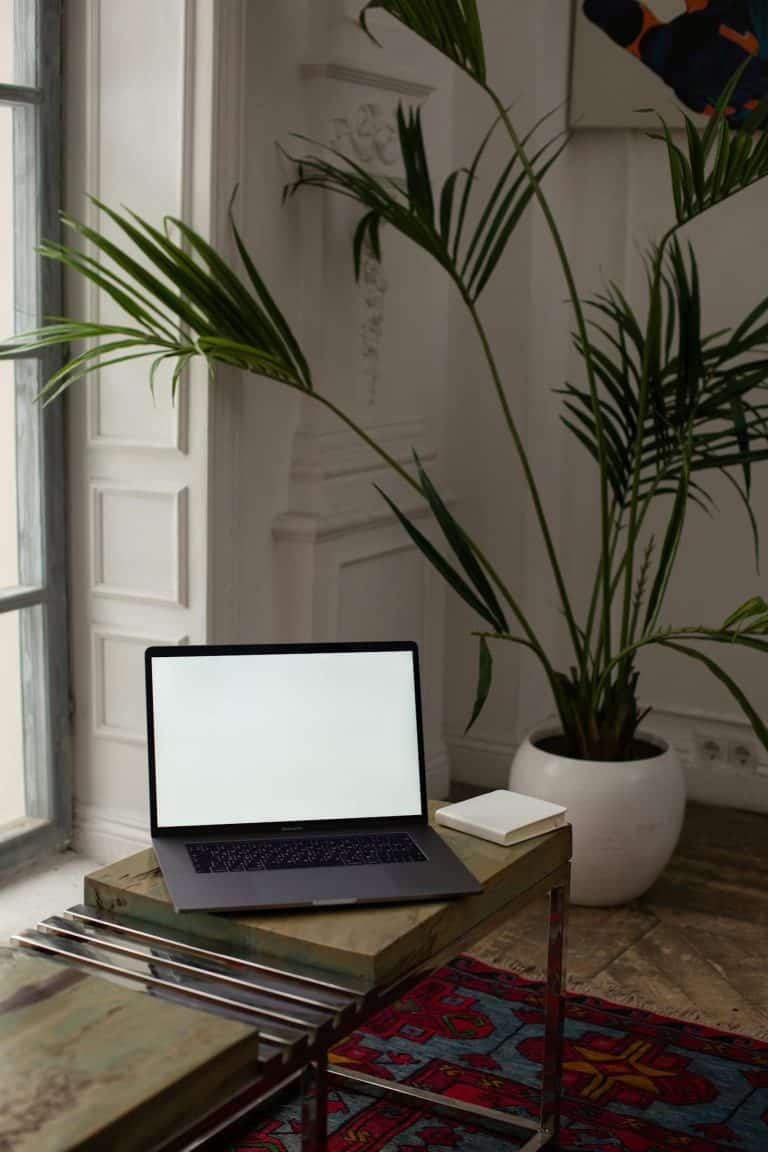 Minimalist indoor workspace with open laptop and potted plant.