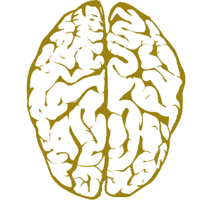 ADHD Review