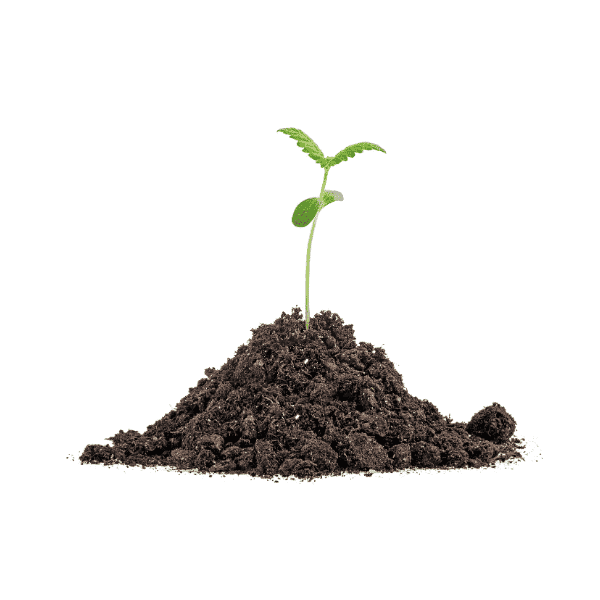 Adhd coaching foundations