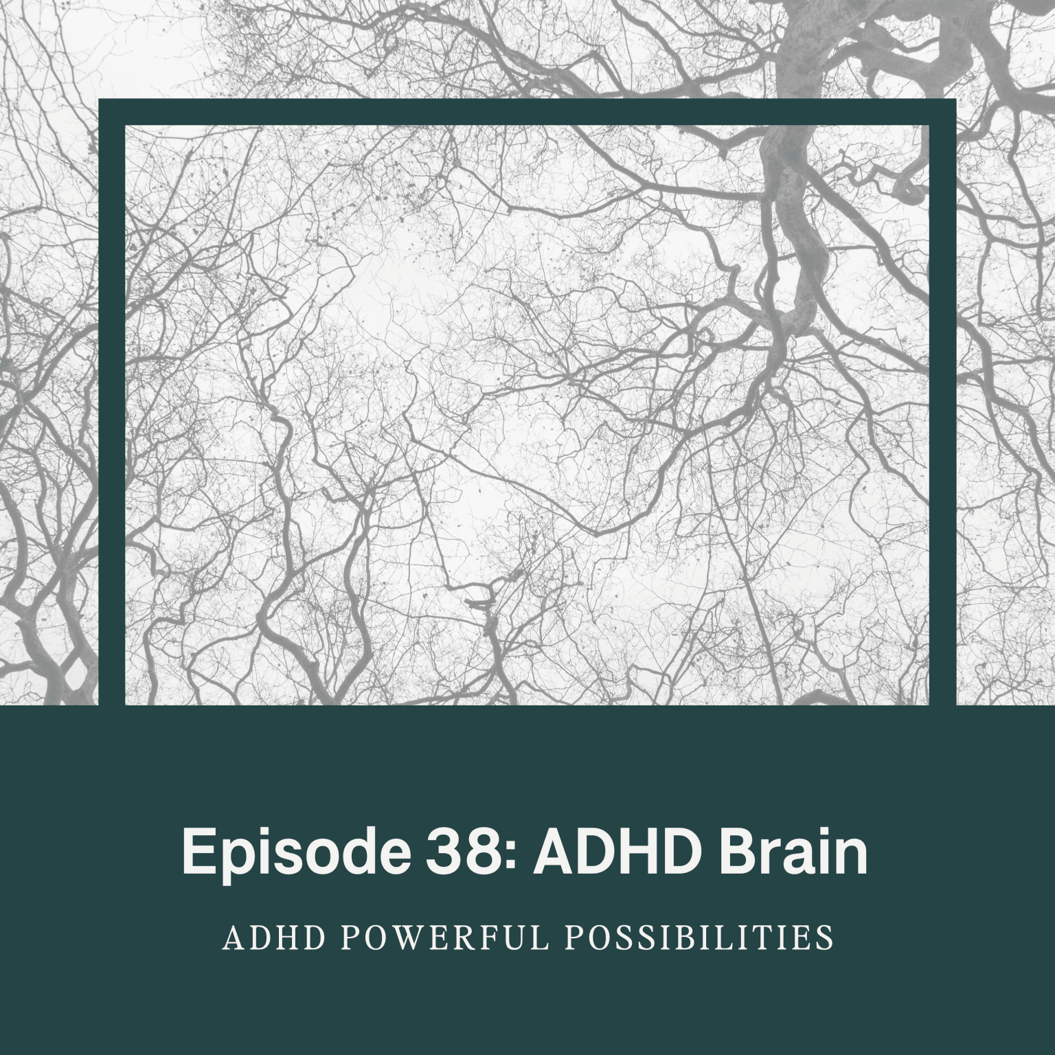 ADHD Executive & Functions Explained