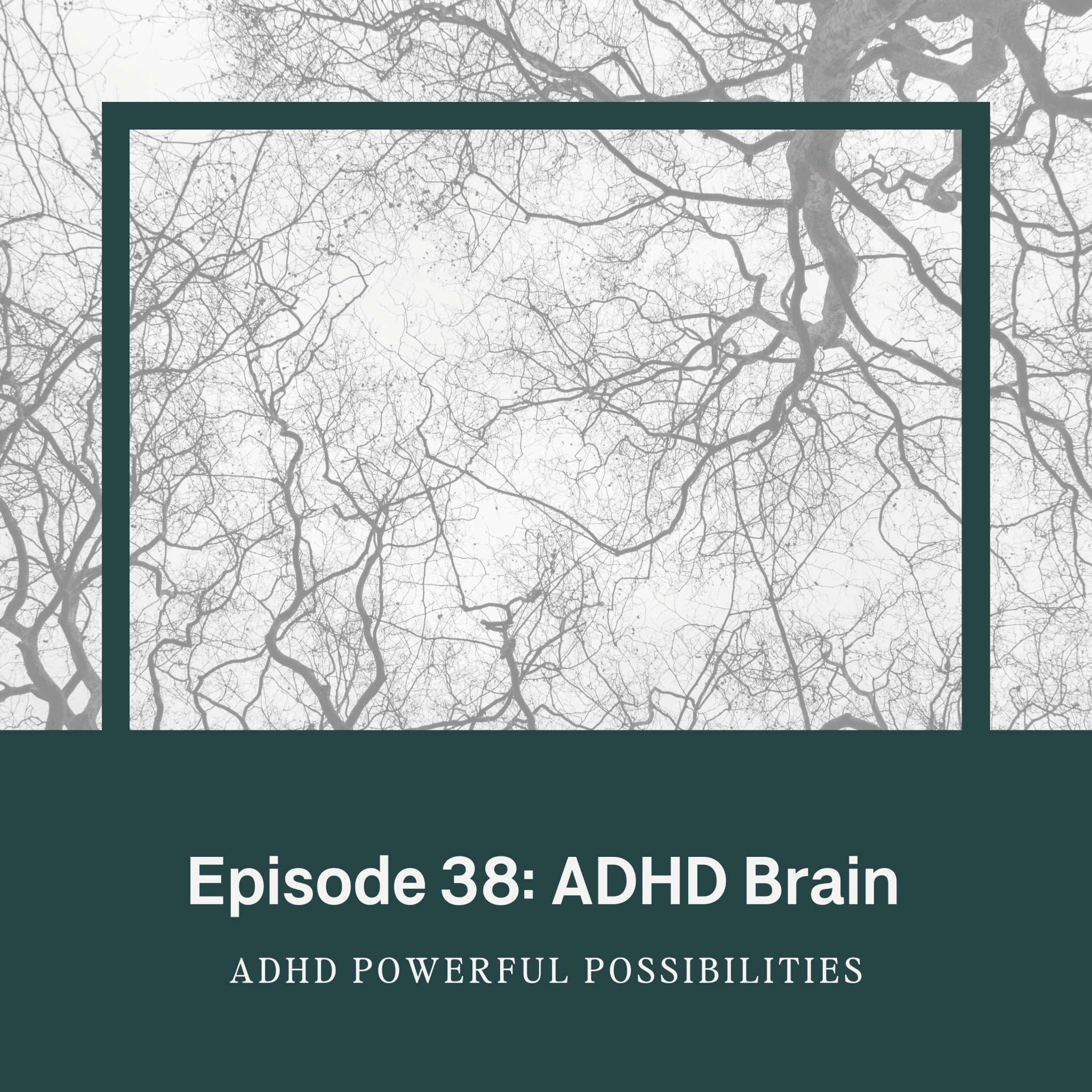ADHD Executive & Functions Explained