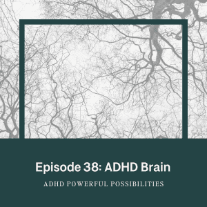38 – ADHD & Executive Functions Explained