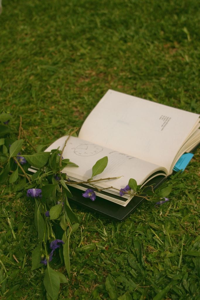 An open book with purple flowers and greenery on grassy ground, perfect for creative projects.